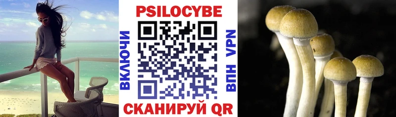 как найти наркотики  Алапаевск  мега сайт  Псилоцибиновые грибы Cubensis 